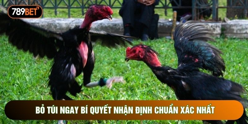 Bỏ túi ngay bí quyết nhận định chuẩn xác nhất Bỏ túi ngay bí quyết nhận định chuẩn xác nhất