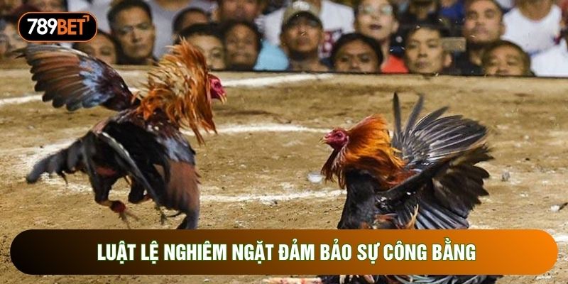 Luật lệ nghiêm ngặt đảm bảo sự công bằng Luật lệ nghiêm ngặt đảm bảo sự công bằng