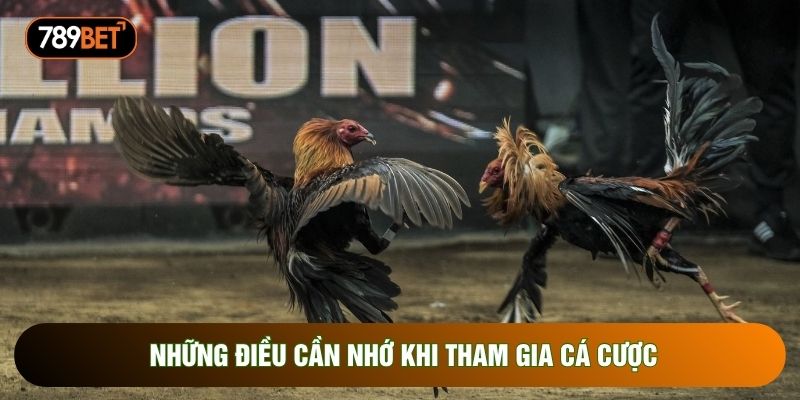Những điều cần nhớ khi tham gia cá cược Những điều cần nhớ khi tham gia cá cược