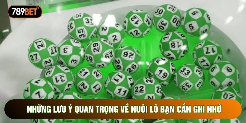 Những lưu ý quan trọng về nuôi lô bạn cần ghi nhớ Những lưu ý quan trọng về nuôi lô bạn cần ghi nhớ
