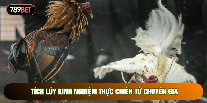 Tích lũy kinh nghiệm thực chiến từ chuyên gia Tích lũy kinh nghiệm thực chiến từ chuyên gia